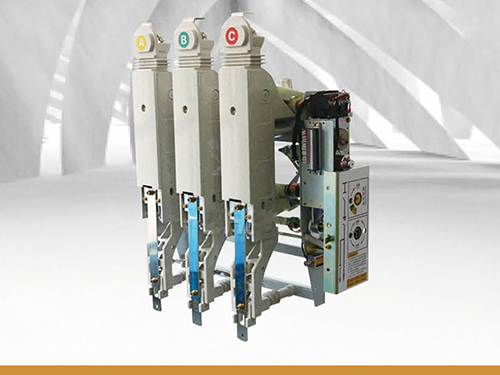 FZRN63- 12(D)/T200-31.5高压负荷开关-熔断器组合电器